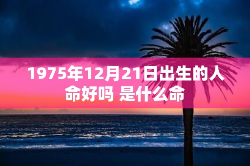 1975年12月21日出生的人命好吗 是什么命