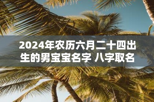 2025年农历六月二十四出生的男宝宝名字 八字取名