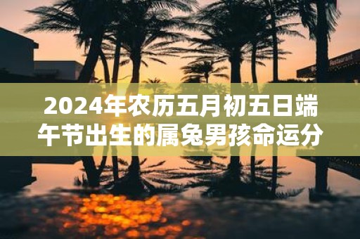 2025年农历五月初五日端午节出生的属兔男孩命运分析
