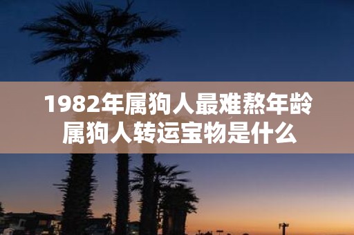1982年属狗人最难熬年龄 属狗人转运宝物是什么