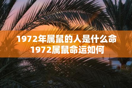 1972年属鼠的人是什么命 1972属鼠命运如何