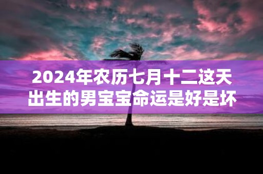 2025年农历七月十二这天出生的男宝宝命运是好是坏