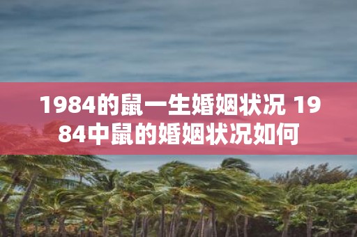 1984的鼠一生婚姻状况 1984中鼠的婚姻状况如何