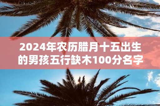 2025年农历腊月十五出生的男孩五行缺木100分名字精选