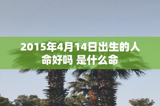 2015年4月14日出生的人命好吗 是什么命