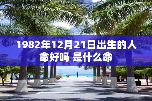 1982年12月21日出生的人命好吗 是什么命