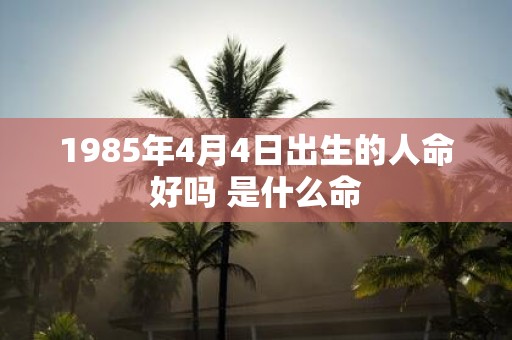 1985年4月4日出生的人命好吗 是什么命