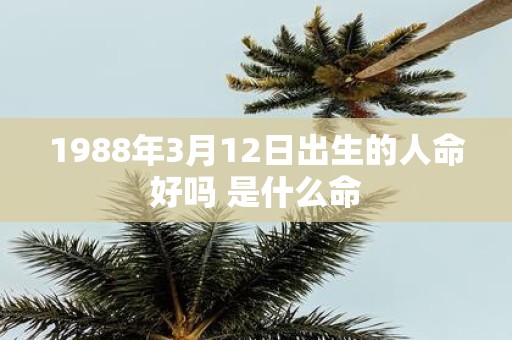 1988年3月12日出生的人命好吗 是什么命