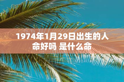 1974年1月29日出生的人命好吗 是什么命