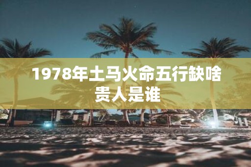 1978年土马火命五行缺啥 贵人是谁