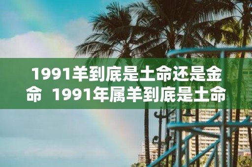 1991羊到底是土命还是金命 1991年属羊到底是土命还是金命