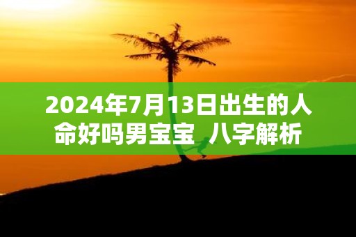 2025年7月13日出生的人命好吗男宝宝 八字解析