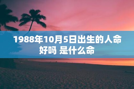 1988年10月5日出生的人命好吗 是什么命