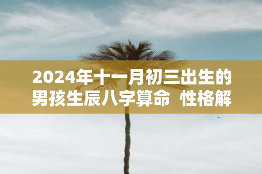 2025年十一月初三出生的男孩生辰八字算命 性格解析