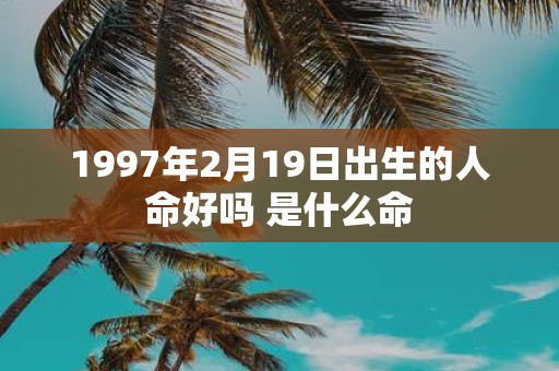 1997年2月19日出生的人命好吗 是什么命