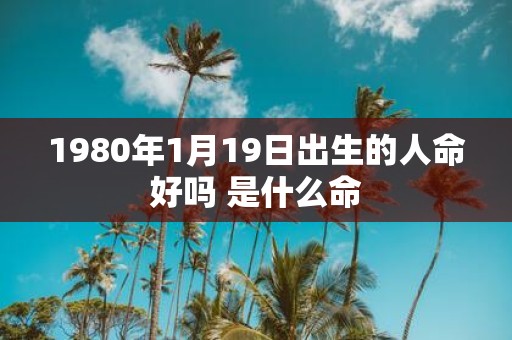 1980年1月19日出生的人命好吗 是什么命