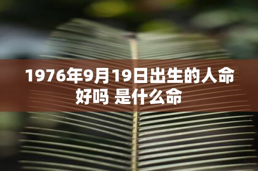1976年9月19日出生的人命好吗 是什么命