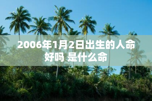 2006年1月2日出生的人命好吗 是什么命