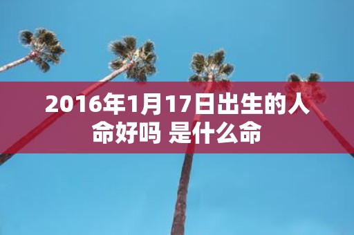 2016年1月17日出生的人命好吗 是什么命