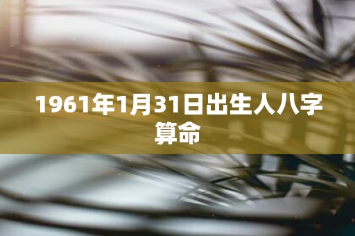 1961年1月31日出生人八字算命