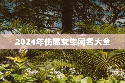 2025年伤感女生网名大全
