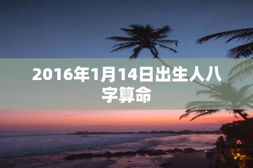 2016年1月14日出生人八字算命