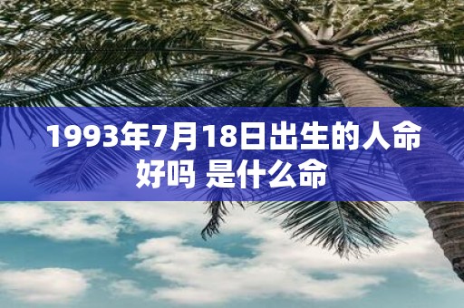 1993年7月18日出生的人命好吗 是什么命
