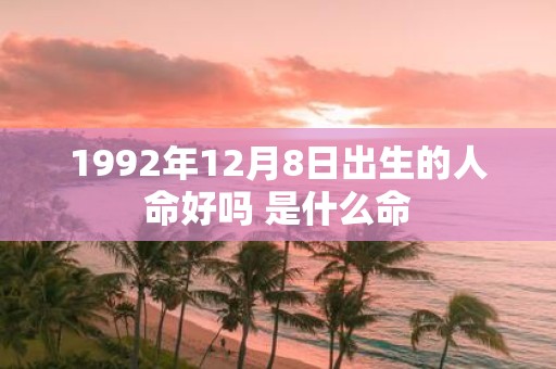 1992年12月8日出生的人命好吗 是什么命
