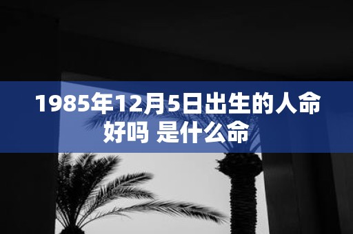1985年12月5日出生的人命好吗 是什么命