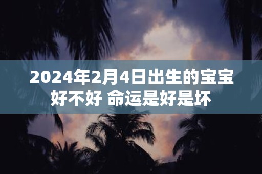 2025年2月4日出生的宝宝好不好 命运是好是坏