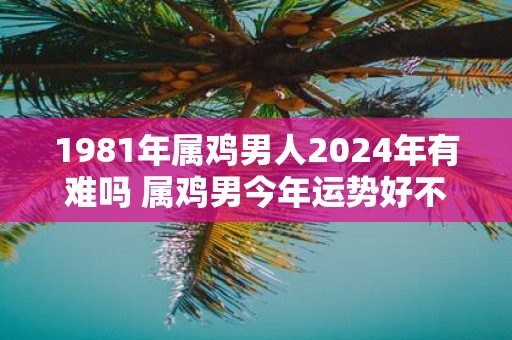 1981年属鸡男人2025年有难吗 属鸡男今年运势好不好