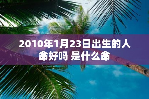 2010年1月23日出生的人命好吗 是什么命