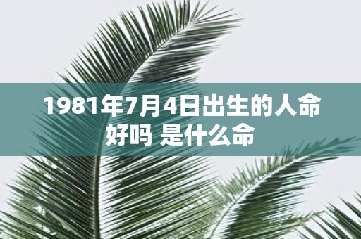 1981年7月4日出生的人命好吗 是什么命
