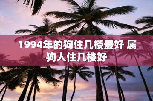 1994年的狗住几楼最好 属狗人住几楼好