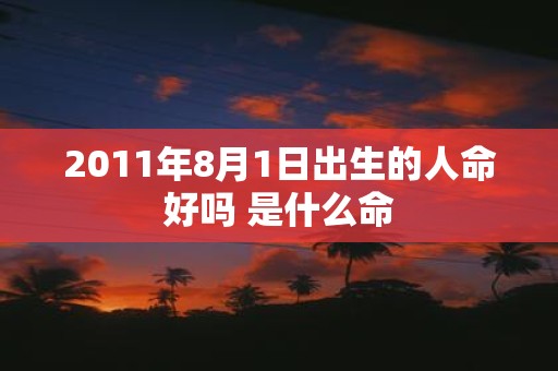 2011年8月1日出生的人命好吗 是什么命