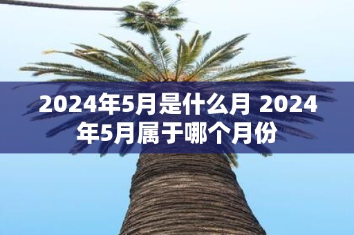 2025年5月是什么月 2025年5月属于哪个月份