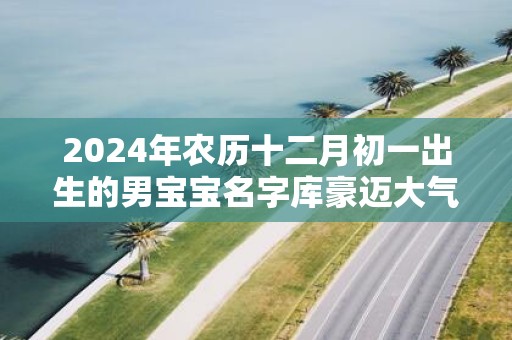 2025年农历十二月初一出生的男宝宝名字库豪迈大气