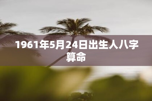 1961年5月24日出生人八字算命