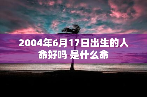 2004年6月17日出生的人命好吗 是什么命