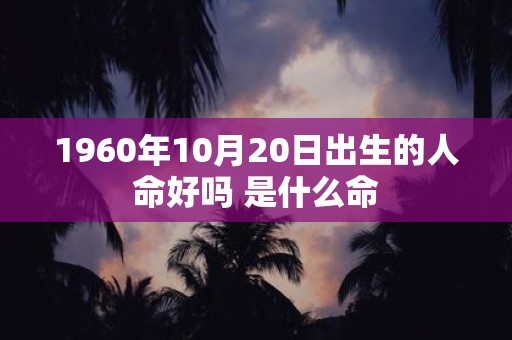 1960年10月20日出生的人命好吗 是什么命