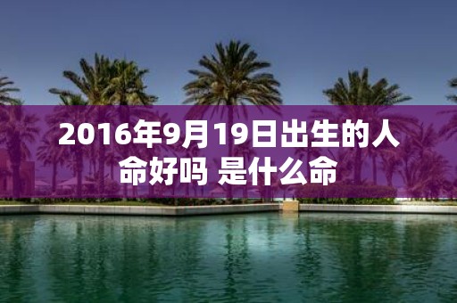 2016年9月19日出生的人命好吗 是什么命