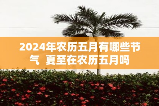 2025年农历五月有哪些节气 夏至在农历五月吗
