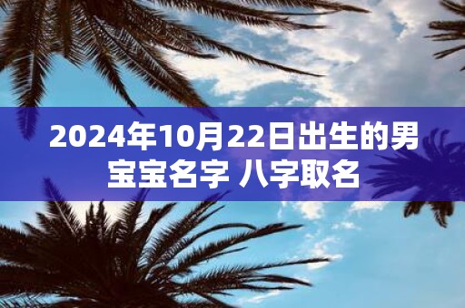 2025年10月22日出生的男宝宝名字 八字取名