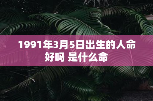 1991年3月5日出生的人命好吗 是什么命