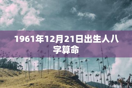 1961年12月21日出生人八字算命