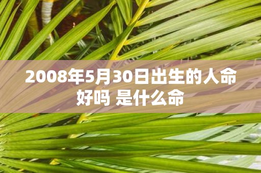 2008年5月30日出生的人命好吗 是什么命