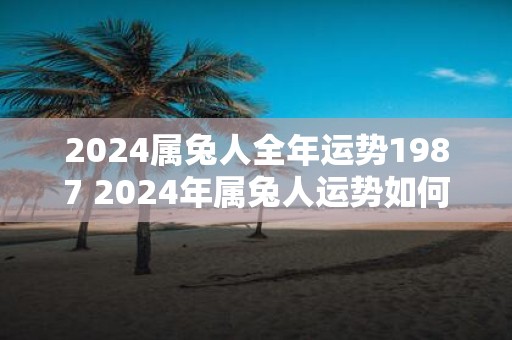 2025属兔人全年运势1987 2025年属兔人运势如何