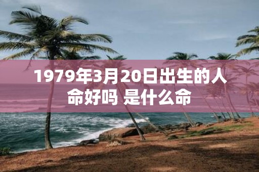 1979年3月20日出生的人命好吗 是什么命