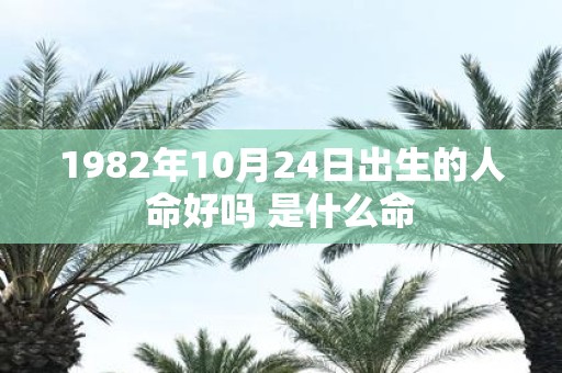 1982年10月24日出生的人命好吗 是什么命