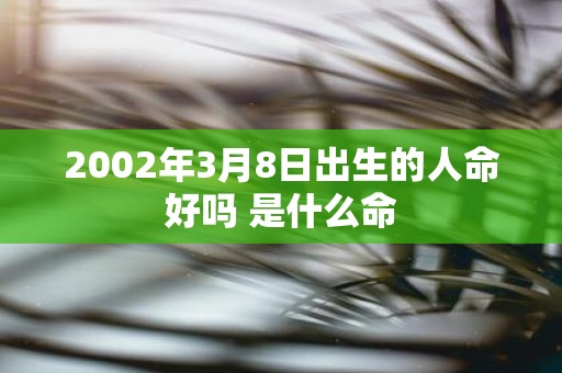 2002年3月8日出生的人命好吗 是什么命
